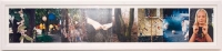 „Ohne Titel“, 2008, Fotofries, gerahmt 24,3 x 110,3 cm 