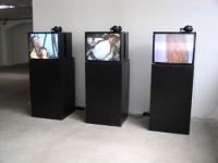 „How to rock the Casbah”, 2007, 3-Kanal-Video-Installation, Stereo„How to rock the Casbah”, 2007, 3-Kanal-Video-Installation, Stereo